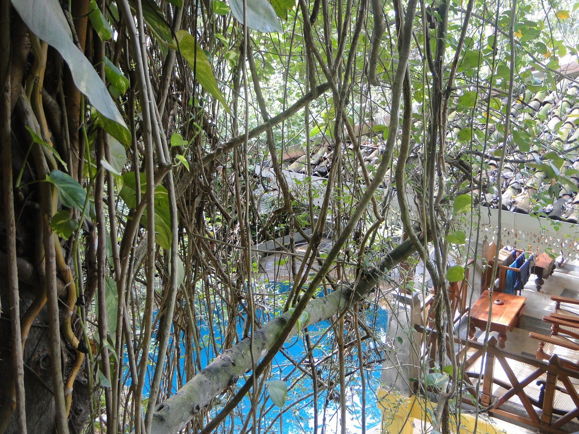 Thambapanni Retreat Hotel Unawatuna Buitenkant foto